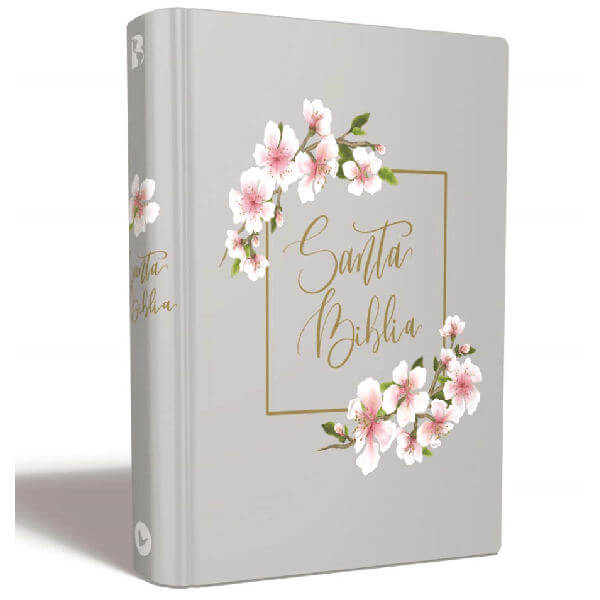 SANTA BIBLIA EDICION ARTISTICA - LAS AMERICAS