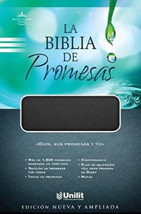 Biblia de Promesas / negro