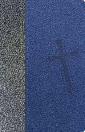 Biblia de promesas NTV - Juvenil - Azul