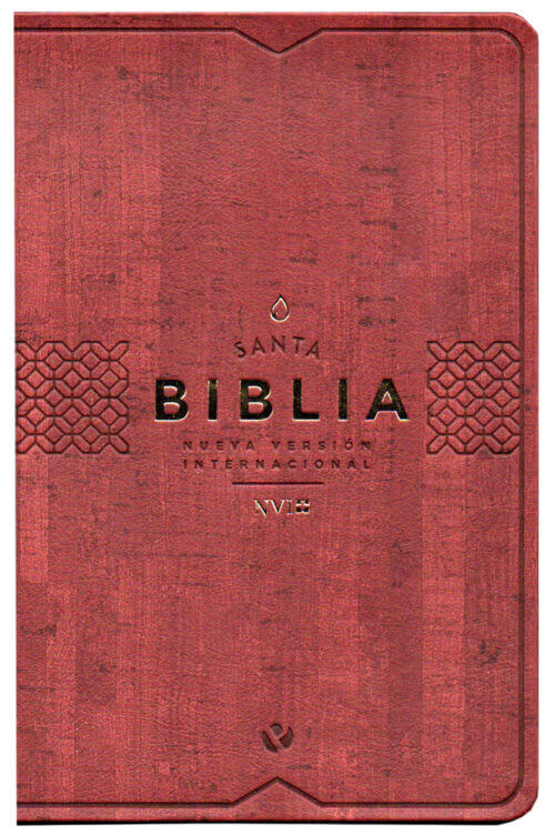 BIBLIA NVI  VINO