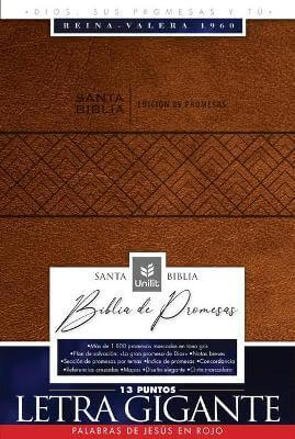 Santa Biblia edición de Promesas- - Café