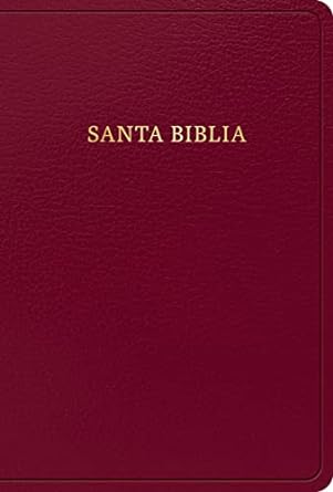Biblia RVR 1960 letra grande tam. manual