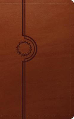 BIBLIA DE ESTUDIO DIARIO VIVIR